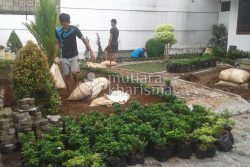 tukang taman depok